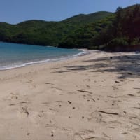 奄美大島にて