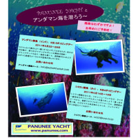 アンダマン海でダイビングしましょう～