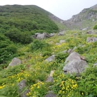 白山 初秋の中宮道を歩く（その⑤ 北弥陀ヶ原～室堂）