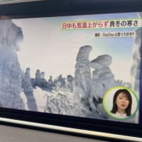 蔵王と座敷わらしの話