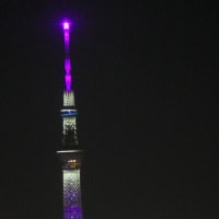 日向坂46の虹開催記念特別ライティング18
