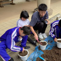 中学部　２年　理科「夏の花を植えよう」