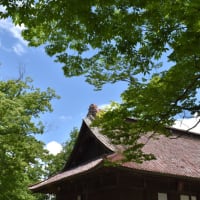 ６月の青天寺院、紅い瓦屋根と花畑と飛行機と。