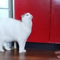 右腕が痛い訳🤭と、