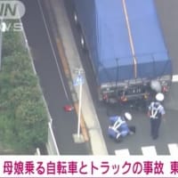 東京でクソ外道が碌に確認もせずに大型トラックでバックして、チャリの女性と女児を轢いて女性を⚫️害