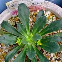 新しいブログを作りました　20250524