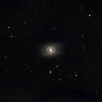 M95 (NGC3351) しし座