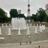 札幌大通り公園　花フェスタ2025