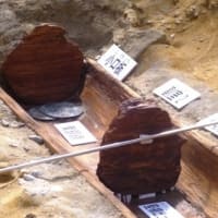 〈富雄丸山古墳〉　新たに木棺から３枚の青銅鏡！
