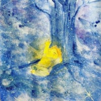 星空満ちる木陰