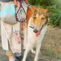 お散歩姿