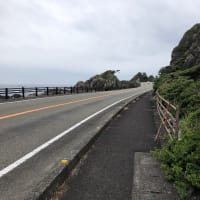 室戸へ　１７日目