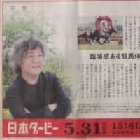 2015　第82回　日本ダービー　新聞広告その3