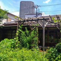 根岸・子規庵