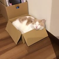 チャーミング最後の2週間