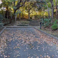 浜松城庭園、松韻亭でお茶