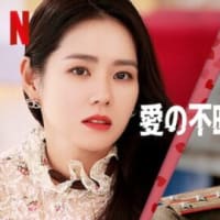 今さら「愛の不時着」