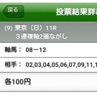 競馬Ｇ３　シルクロードステークス　根岸ステークス　最終予想と買い目