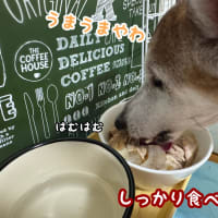 暑い夏にはこれよ