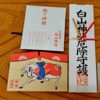 夏越の祓いと、季節のうつろい