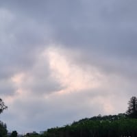 朝空