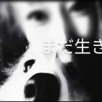 まだ生きているょ