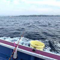 F様のイサキ＆根魚釣りのリレー船釣行（川津港）。