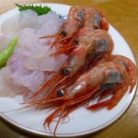 おばさんの料理教室　　甘エビの刺身😗