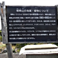 朝熊山展望台
