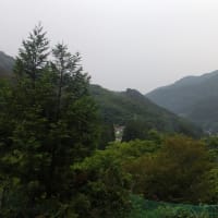 令和7年6月9日・今朝の東祖谷15℃（15.3℃）