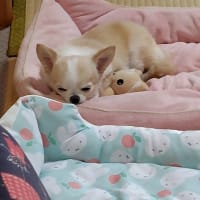 やっちまった！！！
