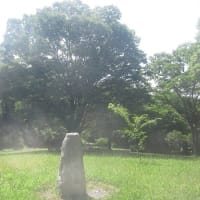 心地良い風に吹かれて糸の切れた風船のように
