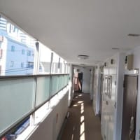 ：５月１７日現在：