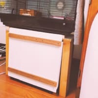 ハムスター🐹の居場所