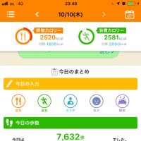 ダイエット、もう１人のママ