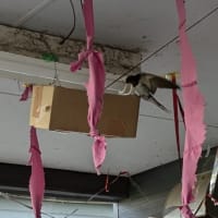なんとか子育て継続