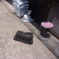 余りの暑さで