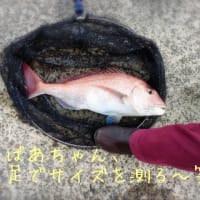 うちのばあちゃんいいと思う。