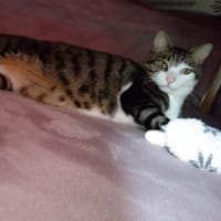 ぬくもり