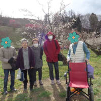 梅の花まつり