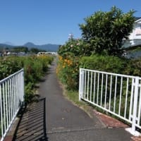 2024神奈川河川ﾎﾟﾀﾘﾝｸﾞ『狩川』⑦塚原駅～駒千代橋