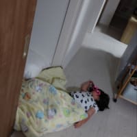 大脱走😴