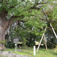 六条河原 昔は処刑場だった アートプラス京めぐり