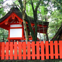 夏の奈良歩き　④　水谷道辺り