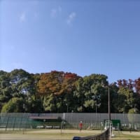 文化の日のテニス日和