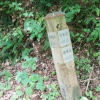 赤い橋までピストンした