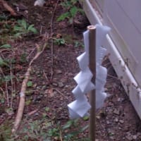 解体工事の地鎮祭
