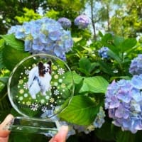 鶴見緑地公園＆月命日