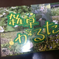 名古屋ボードゲーム楽市に遠征してみて