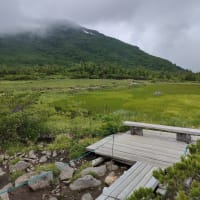白馬大池から栂池へ